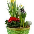 Wiosenny Koszyczek