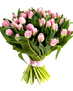 Różowe Tulipany - dodatkowe zdjęcie