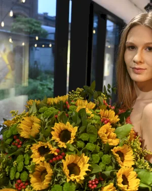 Słoneczniki Premium 