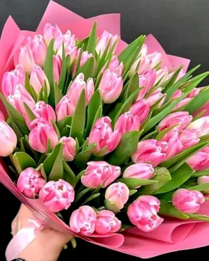 Bukiet różowych tulipanów