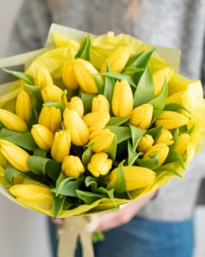 Tulipany Żółte - dodatkowe zdjęcie